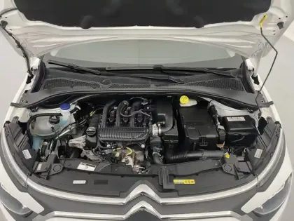 Photo 102 Citroën C3 Gén. III Ph2 Shine 5