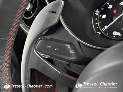 Photo 16 Alfa Romeo Stelvio  2.2 210 ch Q4 AT8 Estrema