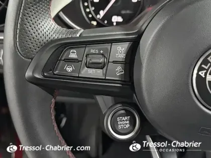 Photo 18 Alfa Romeo Stelvio  2.2 210 ch Q4 AT8 Estrema