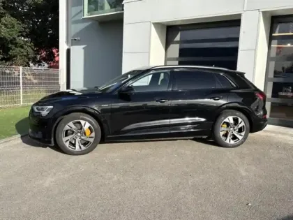 Photo 18 Audi E-tron  50 313ch Avus e-quattro