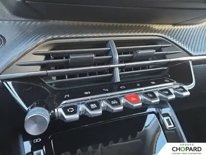 Photo 21 Peugeot 208 Gén. II Ph1 NG Roadtrip 5