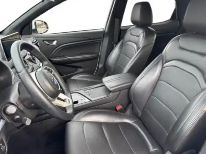 Photo 6 Seres 3  Electric 16ch Luxe