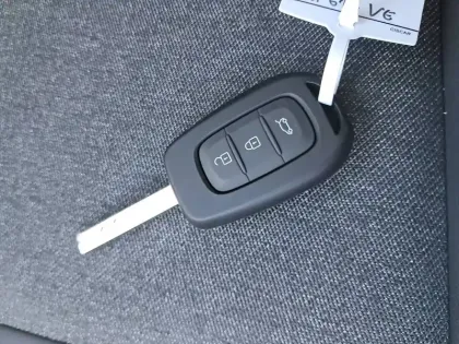 Photo 18 Dacia Spring  electric 100