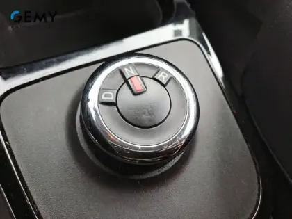 Photo 11 Dacia Spring  Achat Intégral