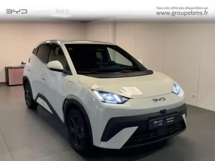 Photo Byd Dolphin Surf