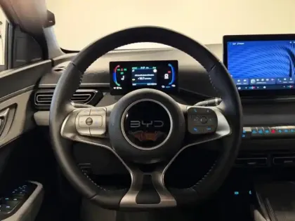 Photo 12 BYD Dolphin Surf  88ch - 43,2 kWh Boost