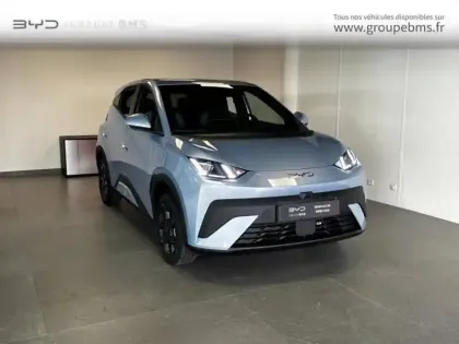 Photo Byd Dolphin Surf