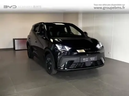 Photo Byd Dolphin Surf