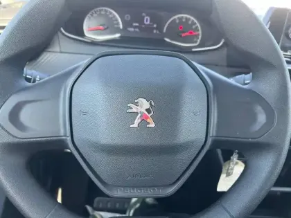 Photo 16 Peugeot 208 Gén. II Ph1 NG Like 5