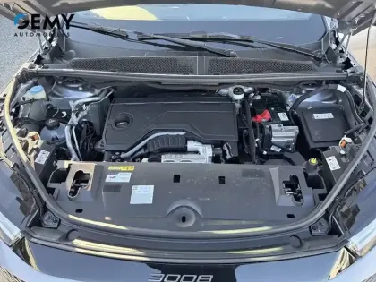 Photo 11 Peugeot 3008 Gén. III Ph1 Allure 5