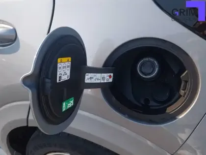 Photo 19 Ford Puma  1.0 Flexifuel 125 ch mHEV S&S BVM6