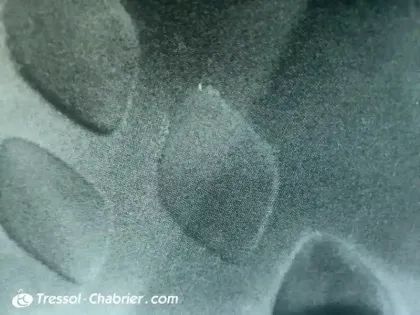 Photo 7 Toyota C-HR  1.2T 2WD Graphic