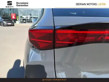 Photo 6 Cupra Tavascan  286ch 77 kWh V