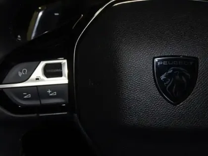 Photo 13 Peugeot 2008 Gén. II Ph2 Style 5