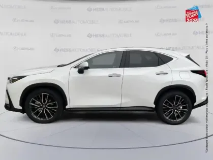 Photo 8 Lexus Nx  450h+ 292ch Executive 4WD MY26