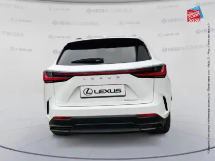 Photo 6 Lexus Nx  450h+ 292ch Executive 4WD MY26