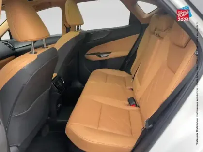 Photo 10 Lexus Nx  450h+ 292ch Executive 4WD MY26