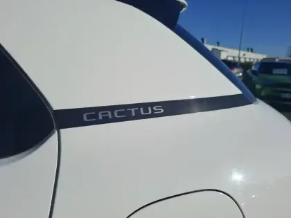 Photo 12 Citroën C4  Cactus PureTech 110 S&S BVM