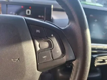 Photo 25 Citroën C4  Cactus PureTech 110 S&S BVM