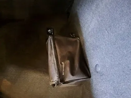 Photo 19 Dacia Duster  ECO-G 100 4x2