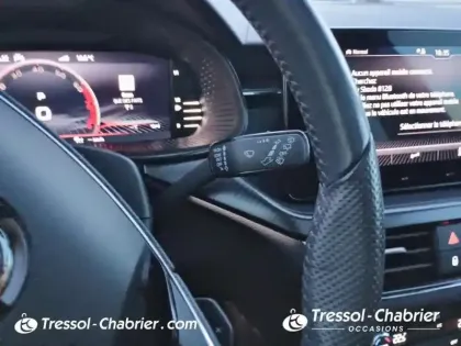 Photo 17 Skoda Kamiq  1.0 TSI Evo 110 ch DSG7 Monte-Carlo