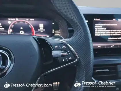 Photo 18 Skoda Kamiq  1.0 TSI Evo 110 ch DSG7 Monte-Carlo