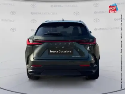 Photo 6 Lexus Nx  450h+ Luxe 4WD MY25