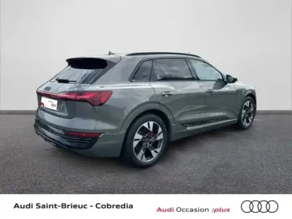 Photo 17 Audi E-tron Q8  55 408ch Avus quattro