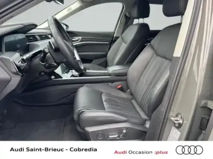 Photo 21 Audi E-tron Q8  55 408ch Avus quattro