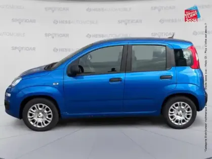 Photo 23 Fiat Panda  Pandina 1.0 65ch BSG S&S Hybrid Icône