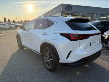Photo 6 Lexus Nx Gén. II Ph1 Luxe 5