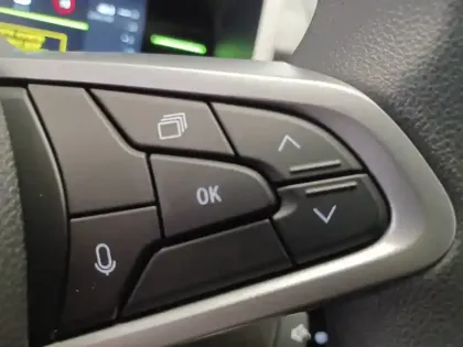 Photo 22 Dacia Spring  electric 100