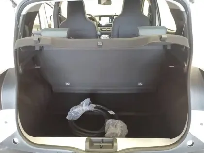 Photo 10 Dacia Spring  electric 100