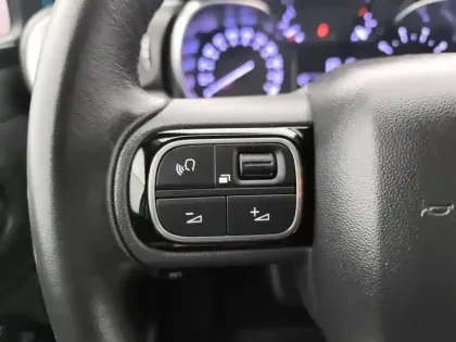 Photo 18 Citroën C3 Gén. III Ph2 Shine 5