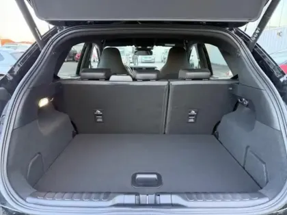 Photo 6 Ford Puma  1.0 EcoBoost Hybrid 170ch ST S&S Powershift