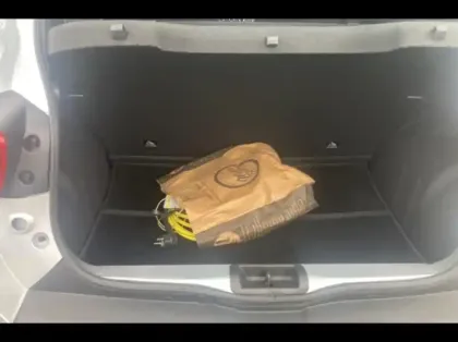 Photo 11 Dacia Spring  65ch Extreme