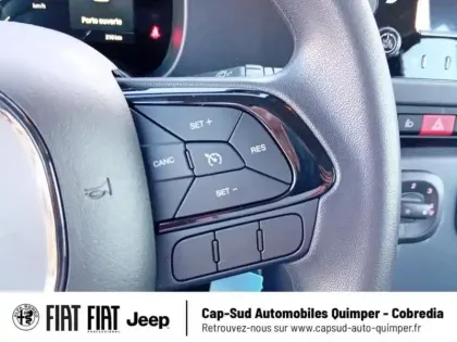 Photo 8 Fiat Panda  Pandina 1.0 65ch BSG S&S Hybrid Icône