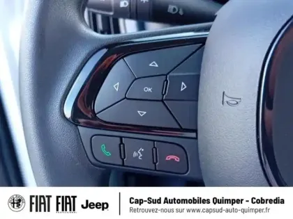 Photo 9 Fiat Panda  Pandina 1.0 65ch BSG S&S Hybrid Icône