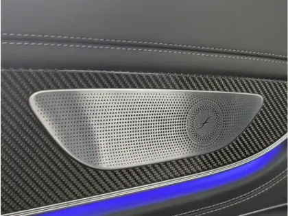 Photo 16 Mercedes AMG GT 53 4MATIC+