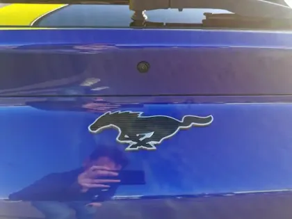 Photo 9 Ford Mustang Basis AWD 351 ch 