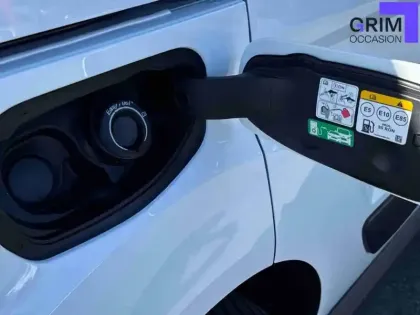 Photo 19 Ford Transit Connect  FGN L1 1.0E100 E85 S&S