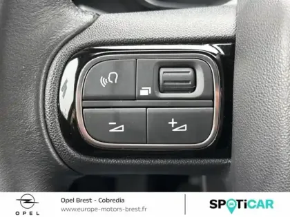 Photo 9 Citroën C3 Aircross  PureTech 110ch S&S Rip Curl