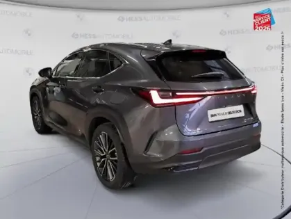 Photo 7 Lexus Nx  450h+ Executive 4WD MY24