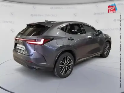 Photo 5 Lexus Nx  450h+ Executive 4WD MY24