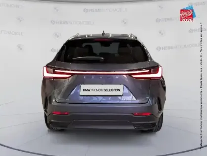 Photo 6 Lexus Nx  450h+ Executive 4WD MY24