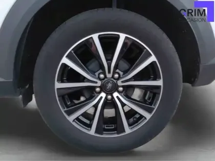 Photo 14 Ford Puma  1.0 Flexifuel 125 ch S&S BVM6