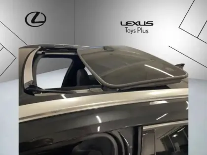 Photo 14 Lexus UX 300h 2WD Executive HYBRIDE MC EXECUTI