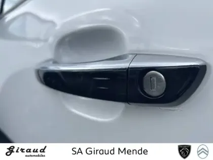 Photo 70 Citroën C3 Gén. III Ph2 Shine 5