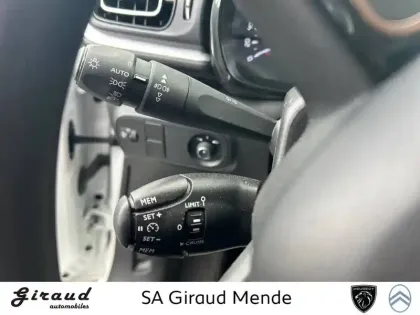 Photo 59 Citroën C3 Gén. III Ph2 Shine 5