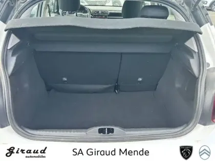 Photo 45 Citroën C3 Gén. III Ph2 Shine 5